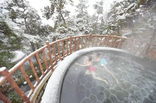 蒙山旅游度假區(qū)圓滿收官，累計(jì)接待游客26.07萬人次，實(shí)現(xiàn)旅游綜合收入1060.29萬元